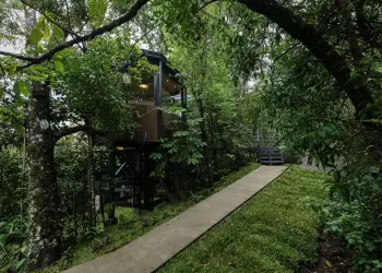 Proyecto Nya Stays - Estudio Perspectiva