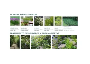Proyecto El Tigre Waterfalls - Estudio Perspectiva